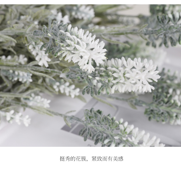 详情图_10.jpg