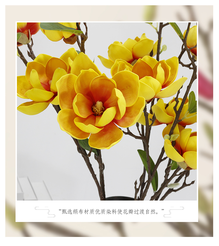 详情_02.jpg