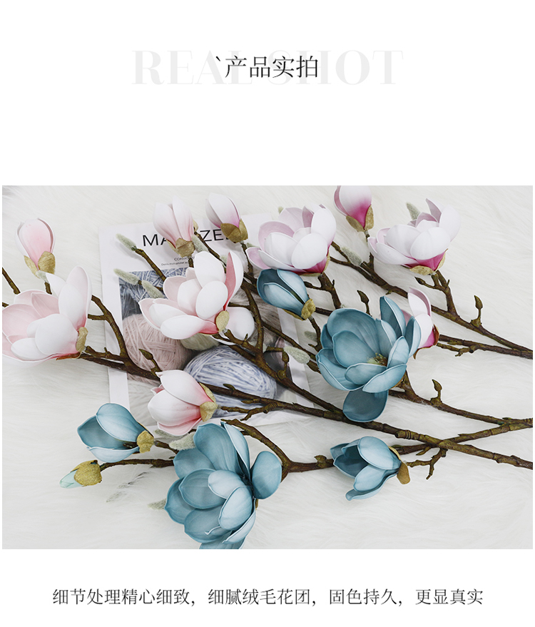 未标题-1_09.jpg