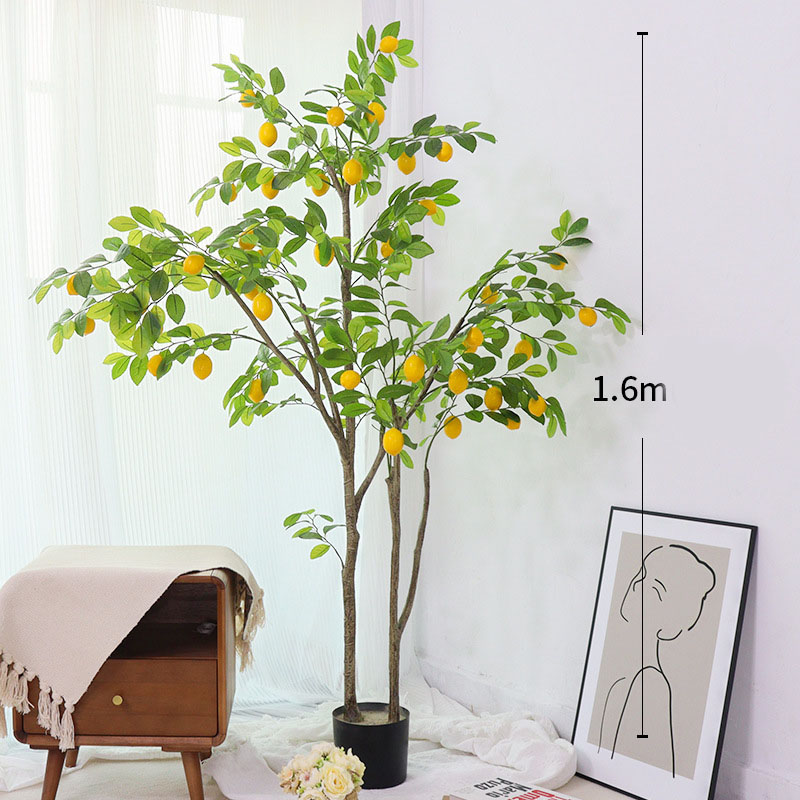 颜色分类_02_1.6米双杆升级款柠檬树.jpg