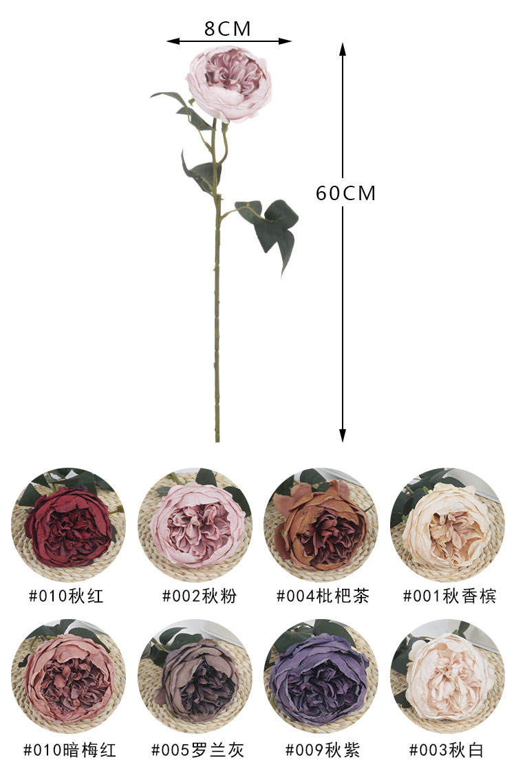 未标题-1_03.jpg