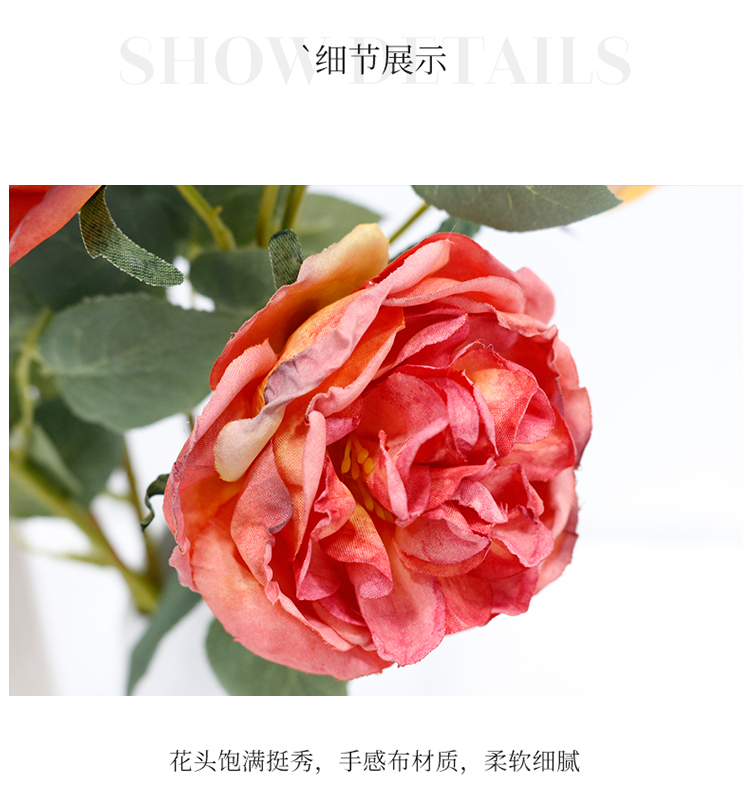 详情页_11.jpg