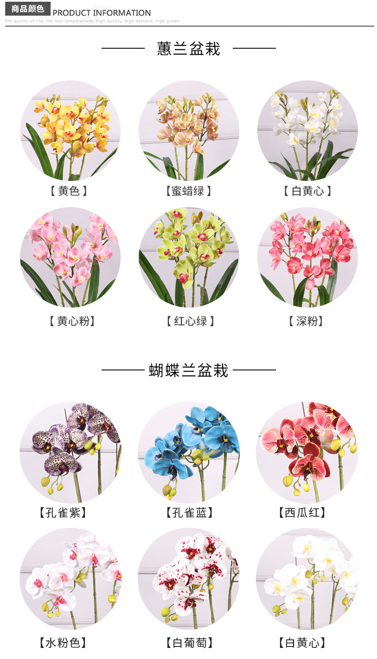 详情图_05.jpg