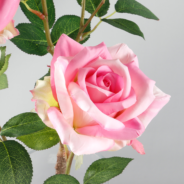 JRY20-217-PK#77 (5).jpg